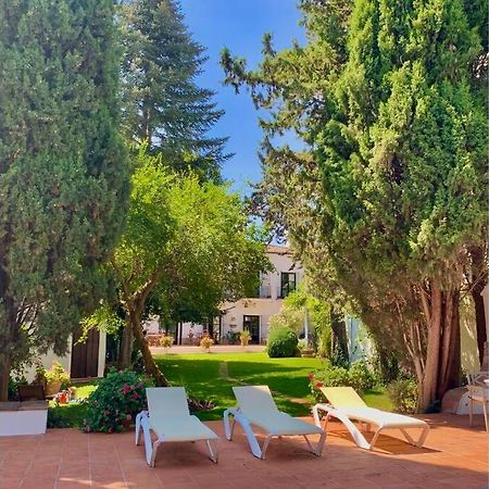 Un Autentico Oasis Rodeado De Historia Ronda Dış mekan fotoğraf